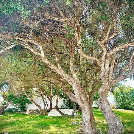 Starbal Love Es Castell  Exterior foto